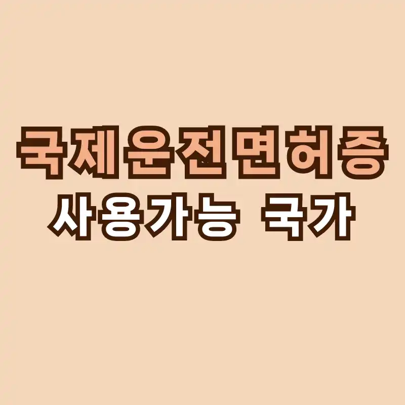 국제운전면허증 사용 가능 국가