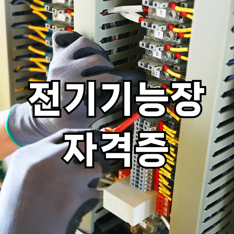 전기기능장 자격증