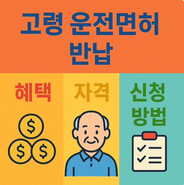고령운전자 운전면허 반납