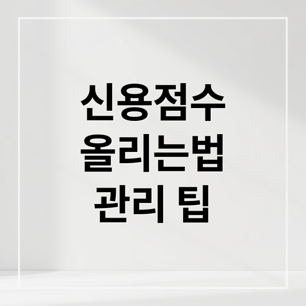 신용점수 올리는 법