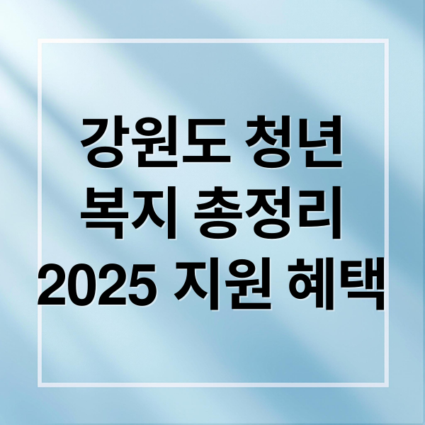 강원도 청년 복지