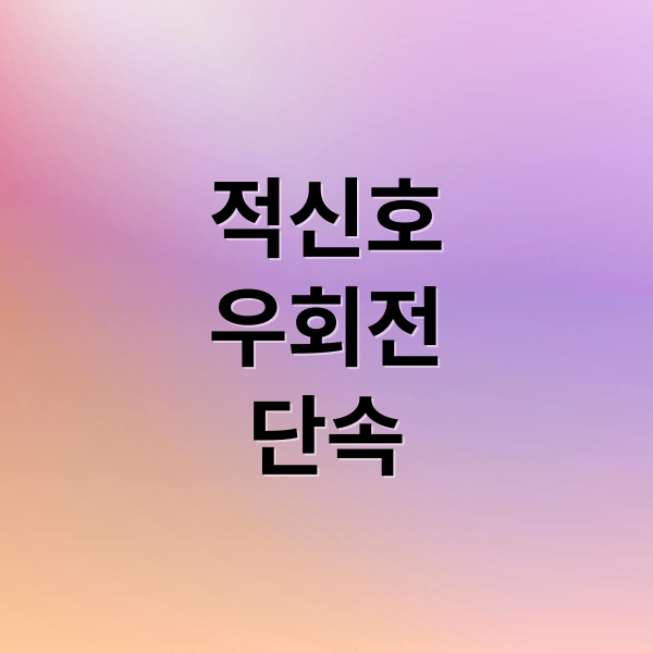 적신호 단속