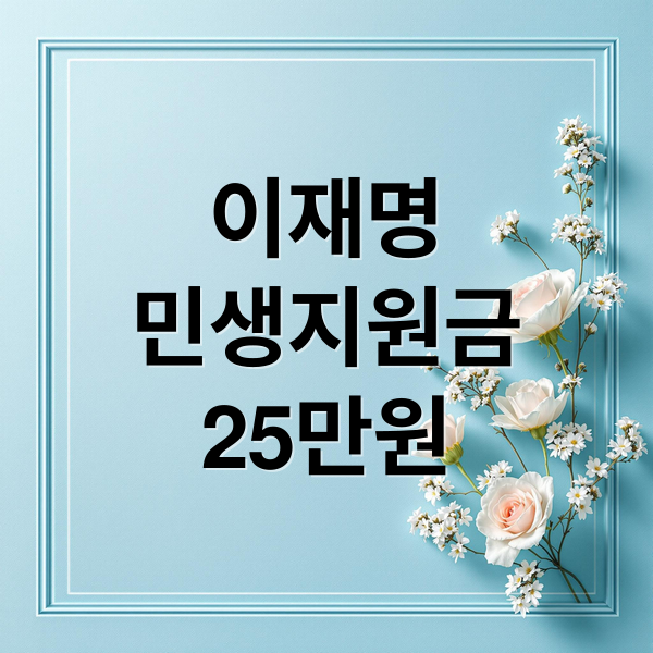 민생지원금