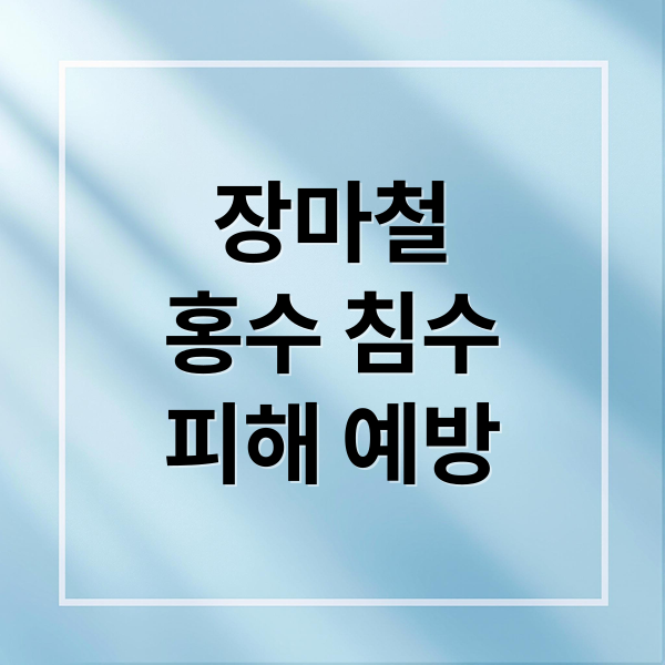 장마철 홍수 침수 피해 예방