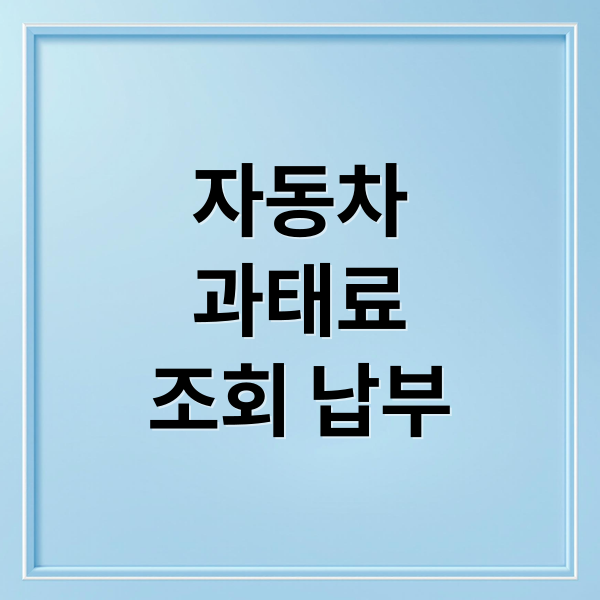 자동차과태료