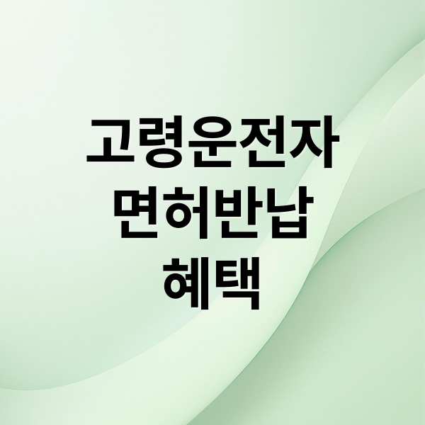 고령운전자 면허반납
