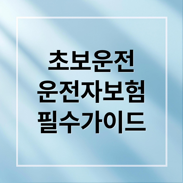 초보운전