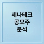 세나테크놀로지 공모주